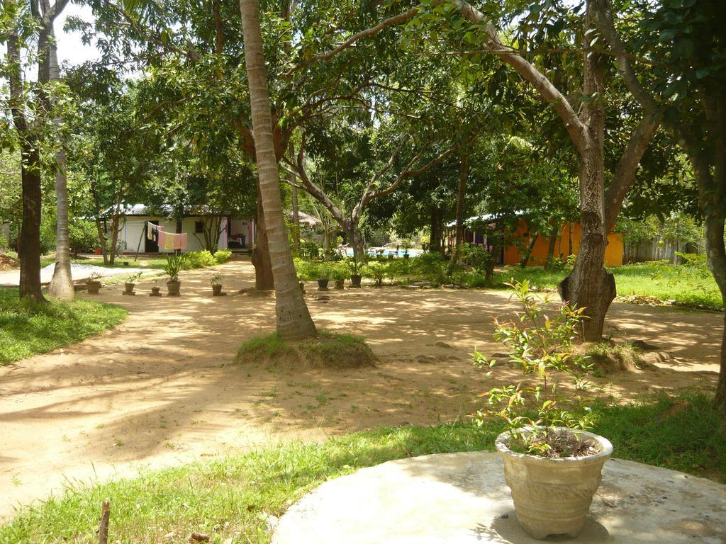 Sunrise Holiday Resort Habarana Luaran gambar