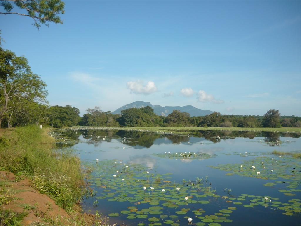 Sunrise Holiday Resort Habarana Luaran gambar