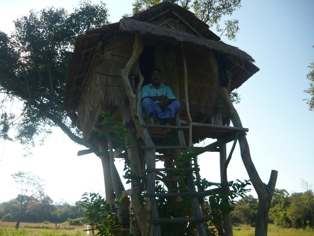 Sunrise Holiday Resort Habarana Luaran gambar